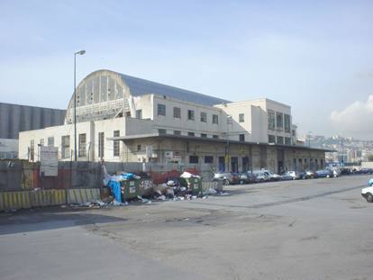 ittico-con-spazzatura